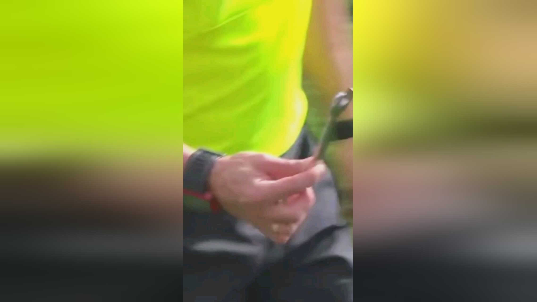 胜利更将